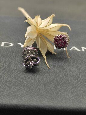 David Yurman Earrings